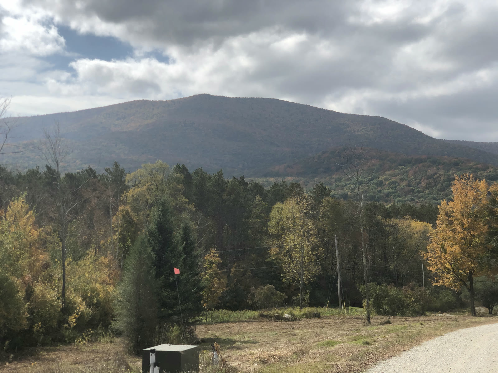 Fall color on the wooded mountain above Raptor Lane, seen from the gravel road under a cloudy September sky